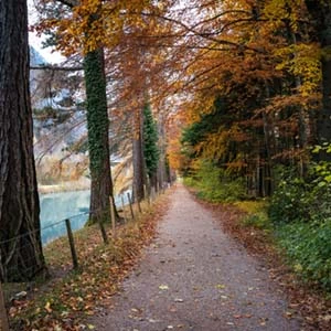 Herbstferien Sprachkurs in Basel